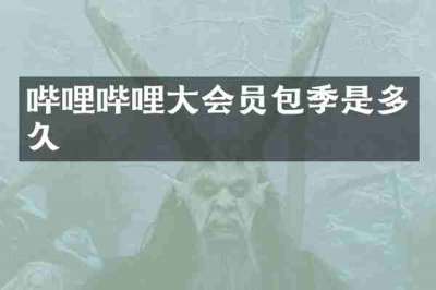 哔哩哔哩大会员包季是多久
