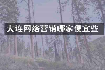 大连网络营销哪家便宜些