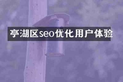 亭湖区seo优化用户体验
