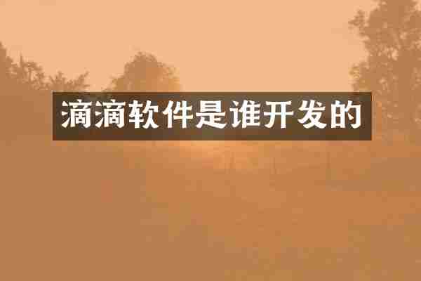 滴滴软件是谁开发的