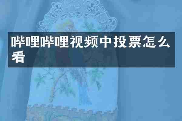 哔哩哔哩视频中投票怎么看