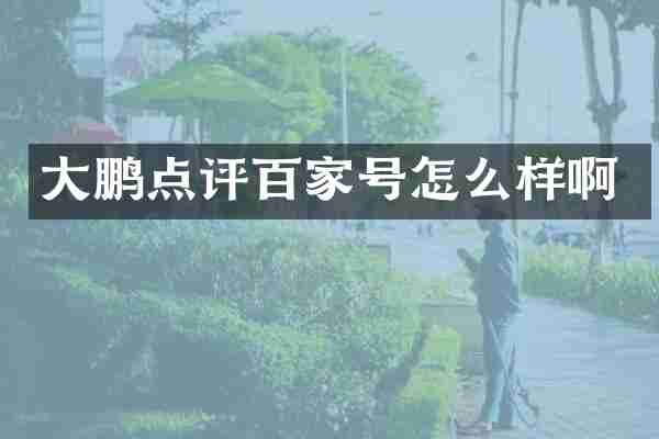 大鹏点评百家号怎么样啊