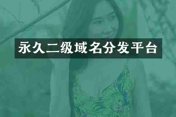 永久二级域名分发平台