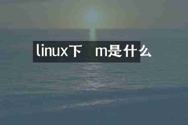 linux下  m是什么