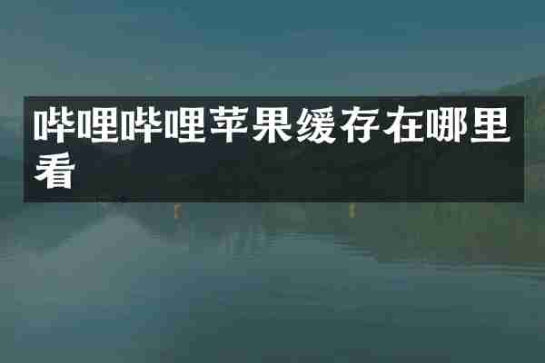 哔哩哔哩苹果缓存在哪里看