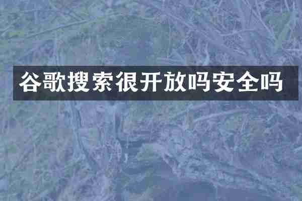 谷歌搜索很开放吗安全吗
