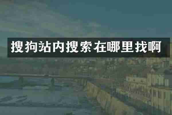 搜狗站内搜索在哪里找啊