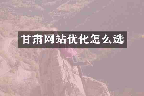 甘肃网站优化怎么选