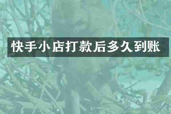 快手小店打款后多久到账