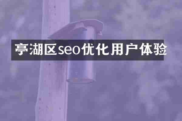 亭湖区seo优化用户体验