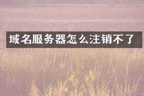 域名服务器怎么注销不了