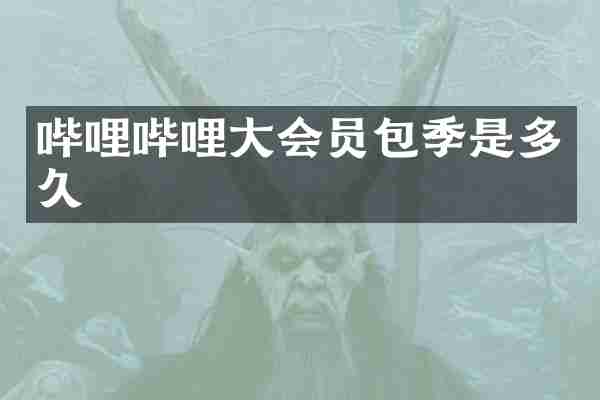 哔哩哔哩大会员包季是多久