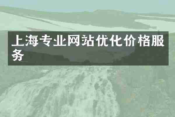 上海专业网站优化价格服务