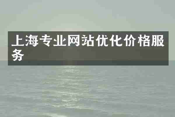 上海专业网站优化价格服务
