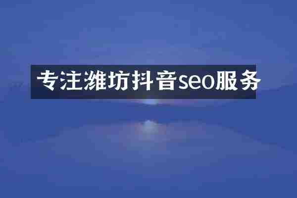 专注潍坊抖音seo服务