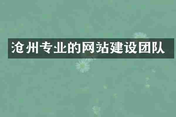 沧州专业的网站建设团队