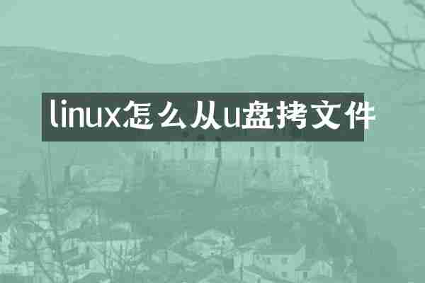 linux怎么从u盘拷文件