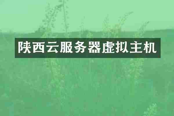 陕西云服务器虚拟主机