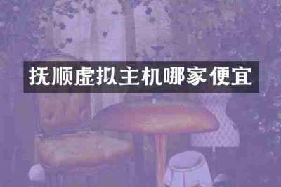 抚顺虚拟主机哪家便宜