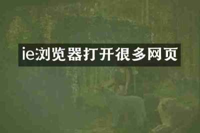 ie浏览器打开很多网页