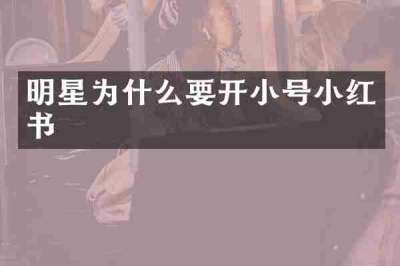 明星为什么要开小号小红书