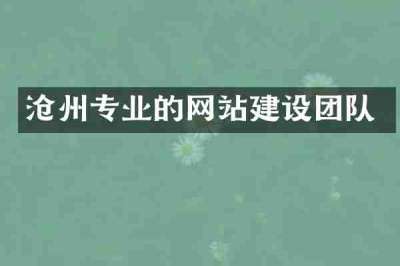 沧州专业的网站建设团队