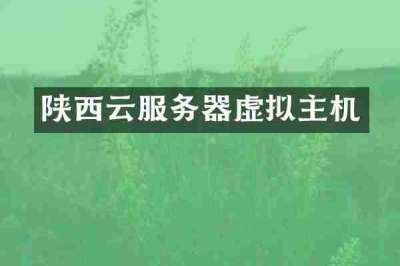 陕西云服务器虚拟主机