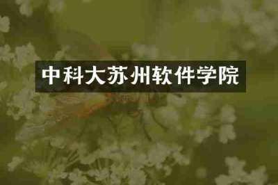 中科大苏州软件学院