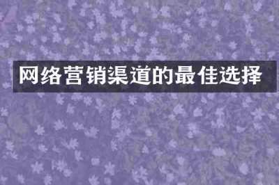 网络营销渠道的最佳选择