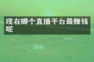 现在哪个直播平台最赚钱呢