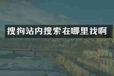 搜狗站内搜索在哪里找啊
