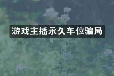 游戏主播永久车位骗局