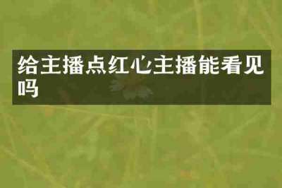给主播点红心主播能看见吗