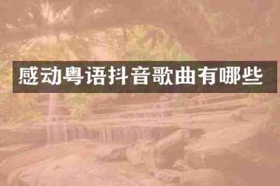 感动粤语抖音歌曲有哪些