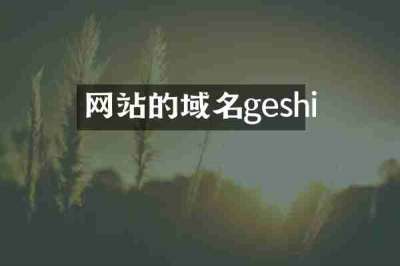 网站的域名geshi