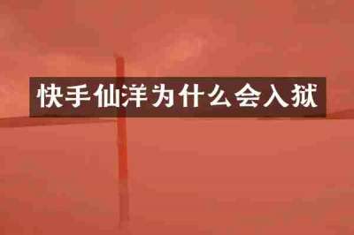 快手仙洋为什么会入狱