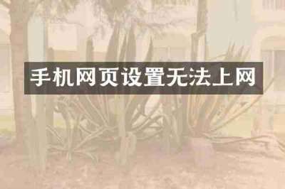 手机网页设置无法上网
