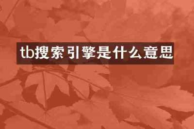 tb搜索引擎是什么意思
