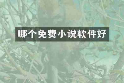 哪个免费小说软件好