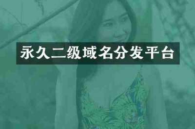永久二级域名分发平台