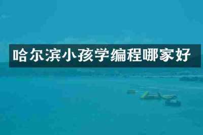 哈尔滨小孩学编程哪家好