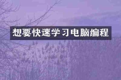 想要快速学习电脑编程