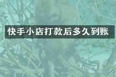 快手小店打款后多久到账