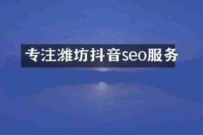 专注潍坊抖音seo服务
