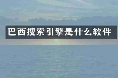 巴西搜索引擎是什么软件