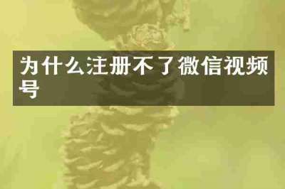 为什么注册不了微信视频号