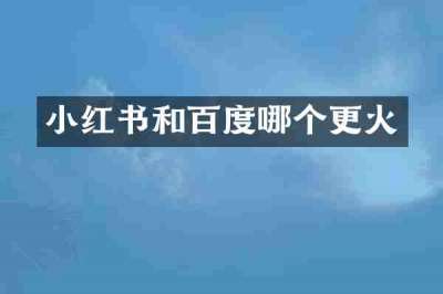 小红书和百度哪个更火
