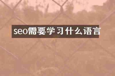 seo需要学习什么语言