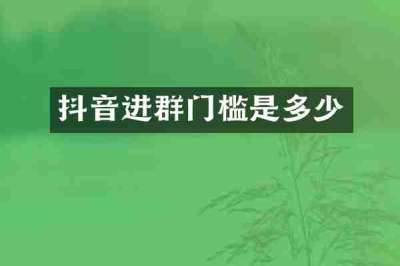 抖音进群门槛是多少