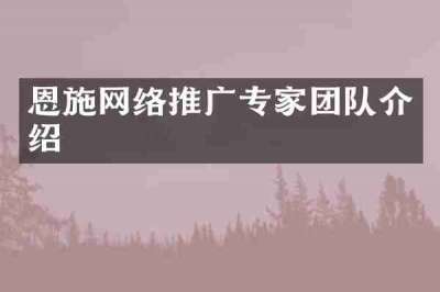 恩施网络推广专家团队介绍